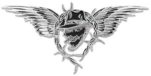 Set De 2 Patches 