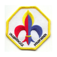 Bild Upload Vorschau