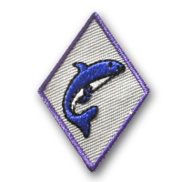 Aufnäher Kinder Delphin Aufnäher Kinder Delphin