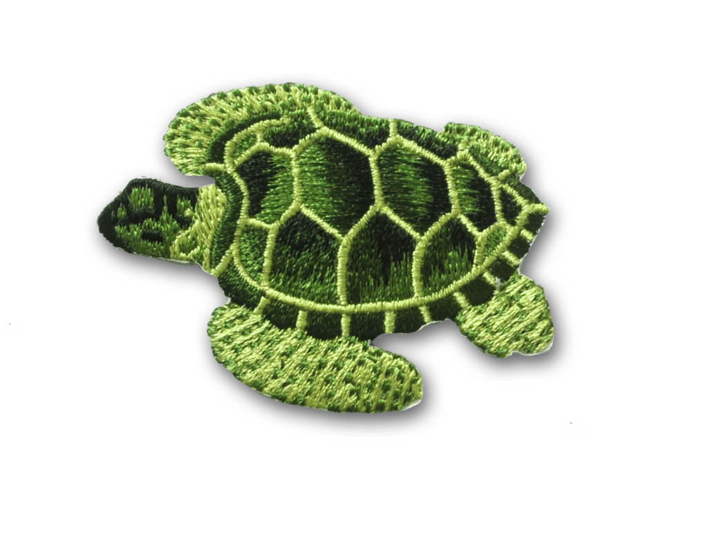 Children's Turtle Patch